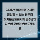 라이크펫 광주 강아지분양 고양이분양 | 24시간 상담으로 언제든 문의할 수 있는 광주강아지분양도로시펫 광주강아지분양 고양이분양 도로시펫