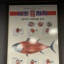 사조참치횟집 이미지