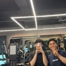 바이브먼트 이미지