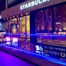 백퍼센트 카카오 검색결과