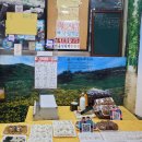 서울떡집가음정점 | 창원 떡집 가음정 서울 낙원떡집에서 증편, 모시송편, 콩설기 후기