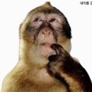 국민바로해결단 관세청 활동 후기｜신청 과정부터 역할 / 참여 경험 정리