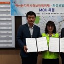 크린토피아화성 이미지