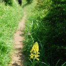 청수목장 이미지