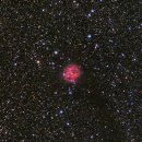 하늘달팽이 이미지