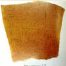 고대1113 이미지