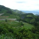 광치농장 이미지