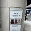 큐티퍼피 | 잠실 빵고미팝업스토어