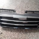 트라제5 이미지