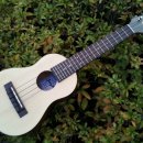 우쿨렐레교실 B 이미지