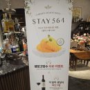 두레통닭(미사점) | 스테이564 미사아일랜드 미사 근처 분위기 좋은 레스토랑 내돈내산 방문후기