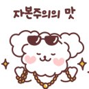 더나은펫샵 네이버블로그
