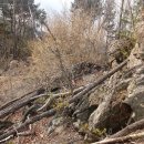 용광주유소 이미지