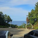 울진솔펜션 | 울진 관광을 곁들인 야유회 근데 사실 여자야구 전국대회에 온... / 아쿠아리움 바다와숲펜션