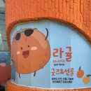 라귤 | 핸드메이드 제주 소품샵 라귤 감성 가득한 기념품 사러 가기 좋은 곳