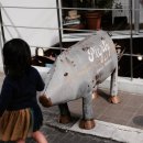 돼지우리 이미지