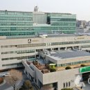 수원-이의-이의-10 이미지