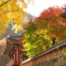 내장산식당 이미지