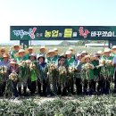 영농조합법인 대청 이미지