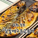 수원-1499 | 수원 망포 달빛에구운고등어 주차 내돈내산후기