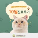 안양동물병원 | 안양본동물의료센터 10월 진료후기, 안양24시동물병원