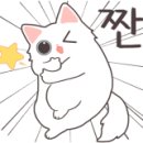 드럼통고양이 이미지