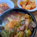 국일 | 대구 생리때 좋은 선지국밥 맛집 국일따로국밥 (내돈내산/솔직후기/현지인추천)