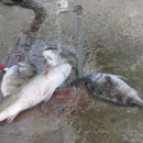 k1한국바다낚시터 이미지