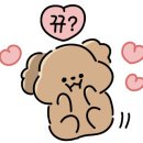 눈이부시개 이미지