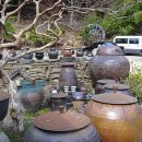 잎새바람 이미지