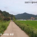 벌교태인 이미지