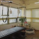 라이프발란서