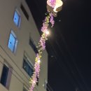 샤로수약국 네이버블로그