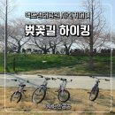 맥도생태공원 | 부산 벚꽃 명소 맥도생태공원 자전거 대여 후기 (두바퀴로가는 자전거)