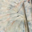 (주)프리것버드 이미지