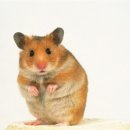 분당동물병원 이미지