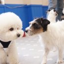 무무유치원 이미지