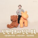 일산 탄현 셀프사진관 <부록> 후기📸 아기랑 첫 가족사진… 쉽지 않았던 이유