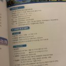 고창공설운동장 | 2025 고창 고인돌 마라톤 10km 후기