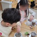 수창초교 병설유치원 네이버블로그