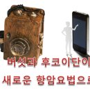 버섯과면역 이미지