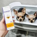 쓰담쓰담약국 | 강아지 세균성 진균 피부질환 샴푸 추천 미코모덤 사용 후기