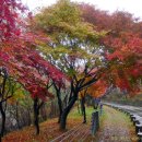 신동우체국~제일주유소사거리 이미지