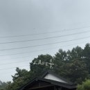 soom | 실내 정원이 있는 포천 대형카페 카페숨(soom) 내돈내산 추천 후기