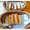 허그갈릭 이미지