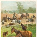 건담한의원 이미지