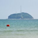 [포토현장]-전남 최고의 해수욕장이라는 완도 신지 명사십리 보다 더크고 더멋진 완도 금일도 명사십리(해당화 해변) 환상의 여름풍경 이미지