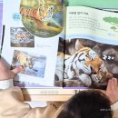 그림책과 함께 놀이로 익히는 말과 글자 | 자연물놀이 유아전집 자연이알쏭 자연관찰 6세책 추천