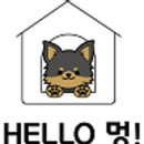 헬로우식품 이미지