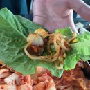 늘조은 돼지